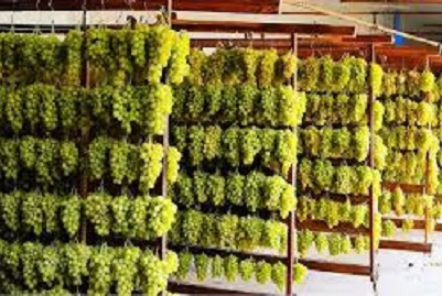 Processing Processing